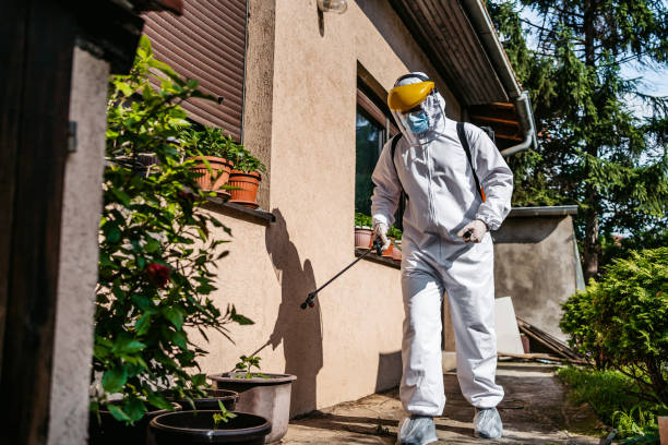 Best Pest Prevention Services  in Twinsburg Heights, OH