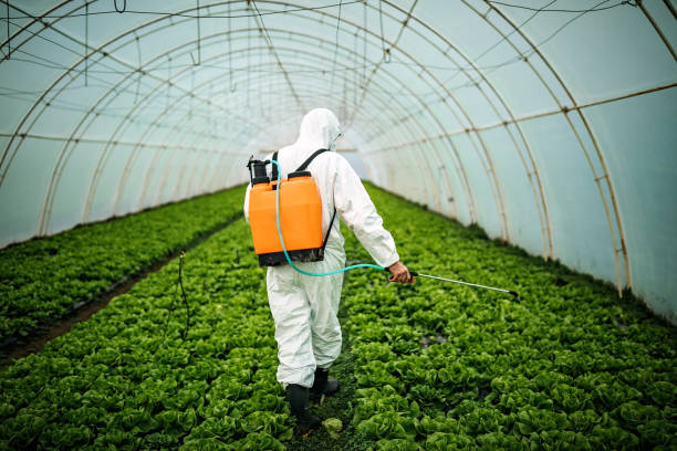 Best Affordable Pest Control Services  in Twinsburg Heights, OH