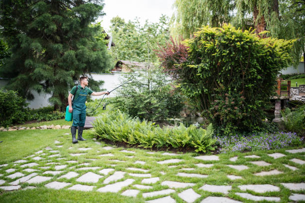 Best Affordable Pest Control Services  in Twinsburg Heights, OH