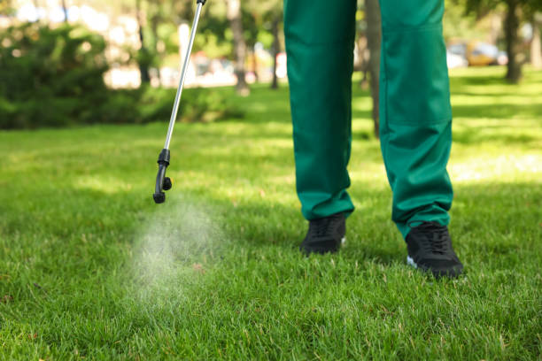 Bird Control in Twinsburg Heights, OH