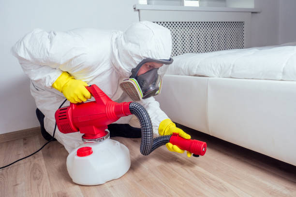 Best Termite Control Services  in Twinsburg Heights, OH