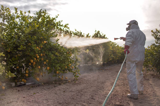 Best Exterminator Services  in Twinsburg Heights, OH