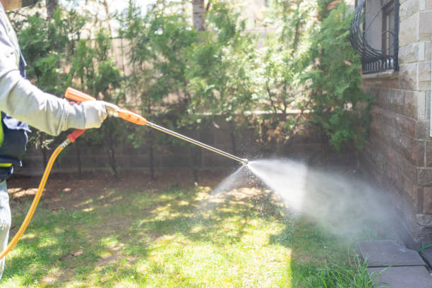 Best Best Pest Control Companies  in Twinsburg Heights, OH