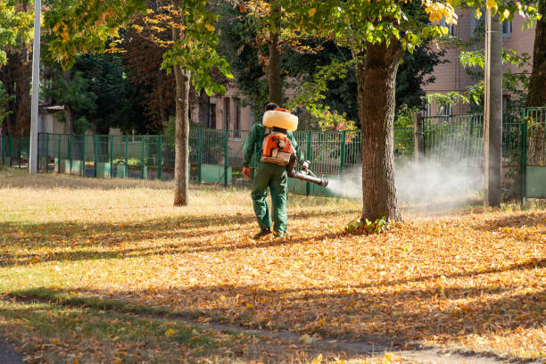 Wildlife Control Services in Twinsburg Heights, OH